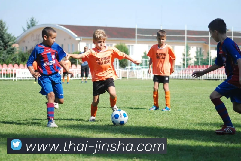 澳门金沙官网服务体系